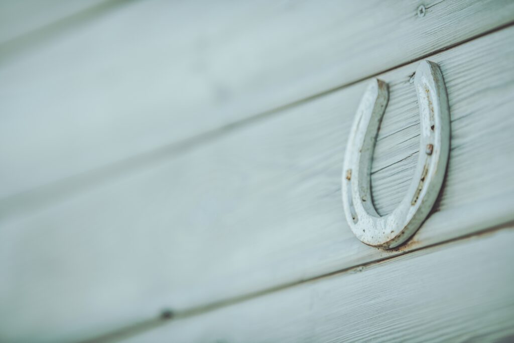Real Horseshoe on Light Gray Wooden Wall. Ranch Theme.
